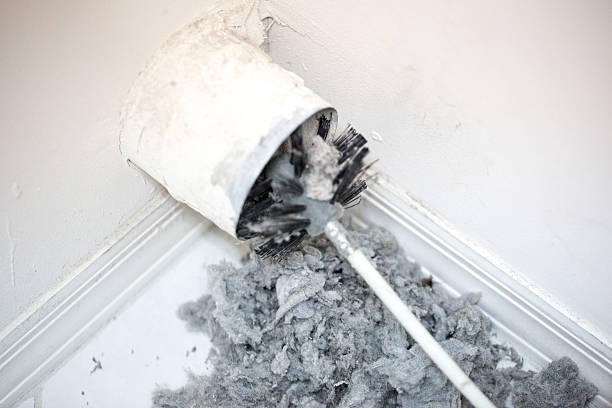 Best Home Air Vent Cleaning  in Buckhorn, CA